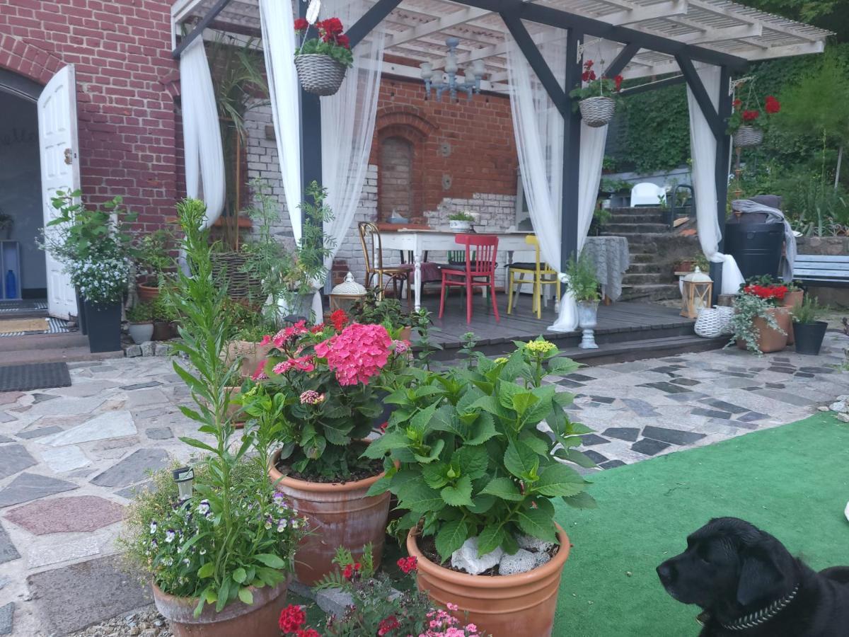 Krzywa Apartamenty Lidzbark Warminski Luaran gambar